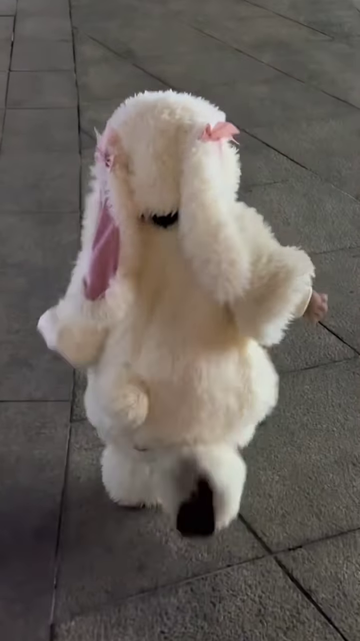 Fluffy Animal-Themed Kids’ Costumes 🐰🦈🦕 – Bunny, Shark & Dino Variants