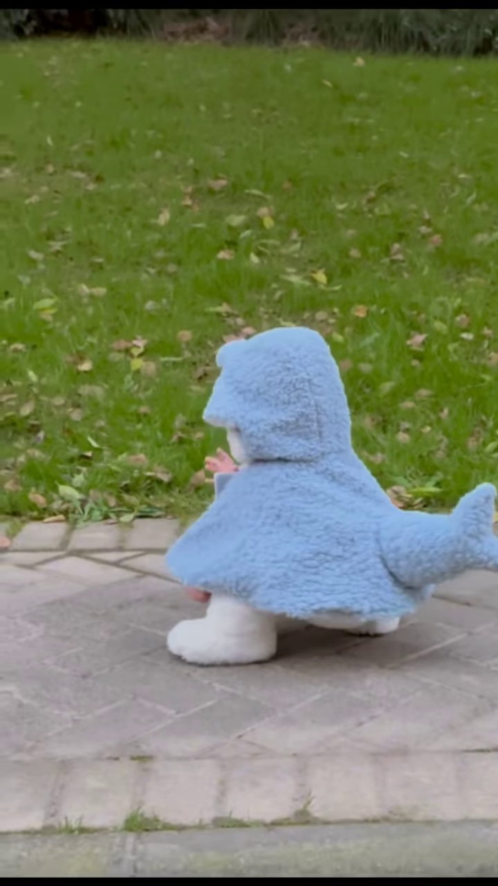 Fluffy Animal-Themed Kids’ Costumes 🐰🦈🦕 – Bunny, Shark & Dino Variants