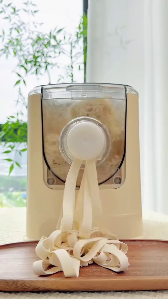 Automatic Fresh Pasta and Noodle Maker Machine