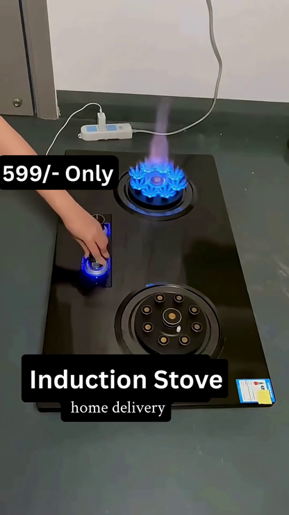 Dual Burner High-Efficiency Induction Stove