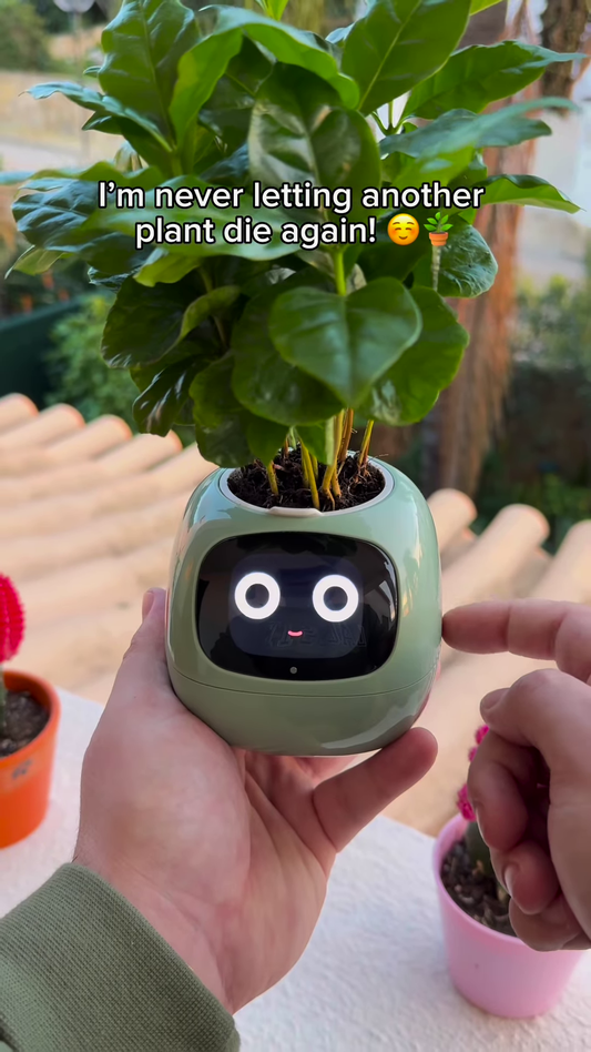 Smart Self-Care Planter – Digital Pot with Built-In Clock, Weather & Plant Health Display